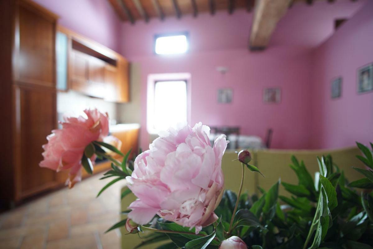 Agriturismo Aggazzotti Colombaro  Exterior foto